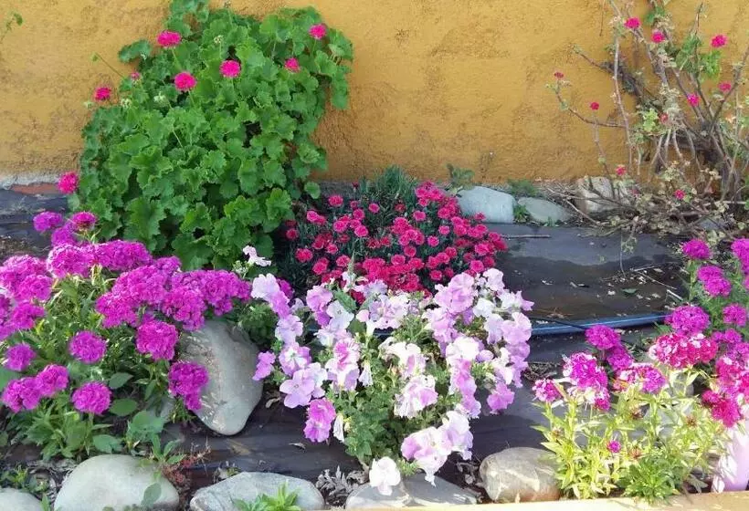 ホテル Quinta Da Mina