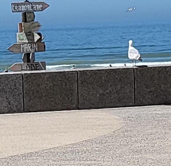 ペンション Chambre D Hotes Les Hortensias