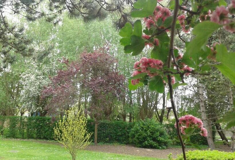 ペンション Chambre D Hotes Les Hortensias