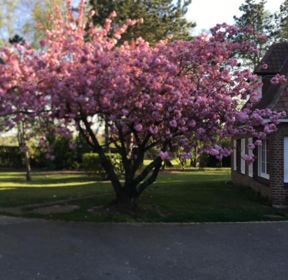 ペンション Chambre D Hotes Les Hortensias