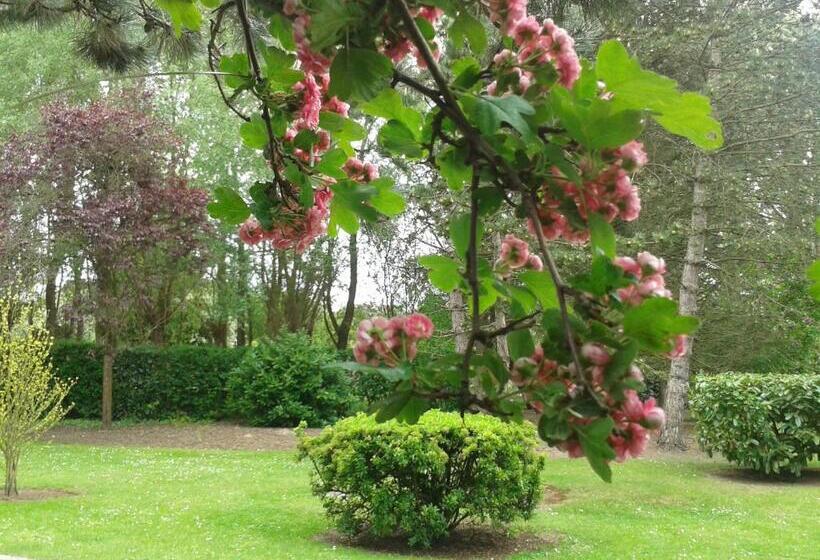ペンション Chambre D Hotes Les Hortensias