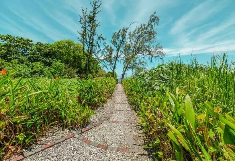 پانسیون Villa Bella Charming Beachfront Guesthouse