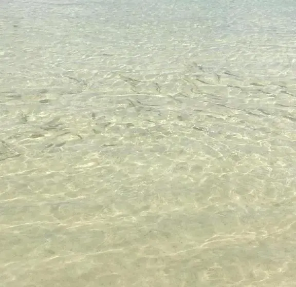 پانسیون Villa Bella Charming Beachfront Guesthouse