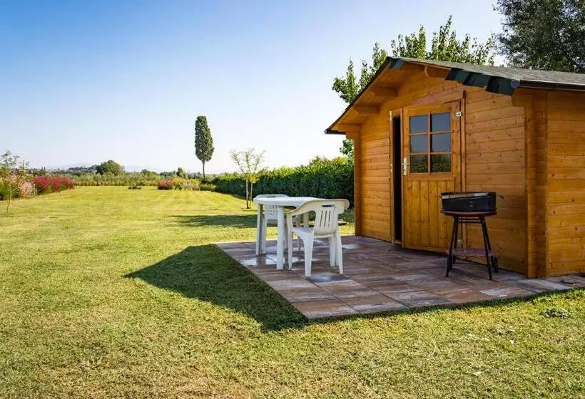 Aamiaismajoitus (B&B) Borgo Terrosi