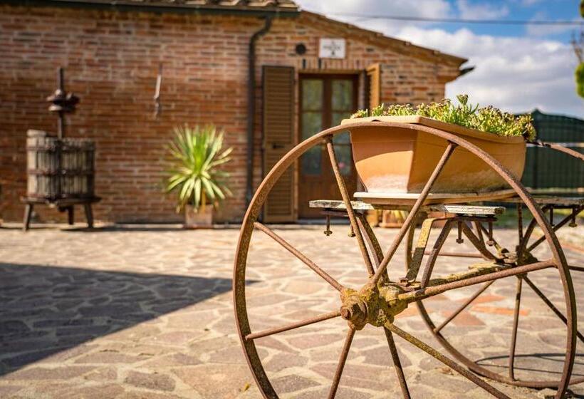 مبيت وإفطار Borgo Terrosi