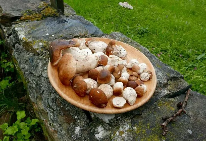 ベッドアンドブレックファースト Il Cortese