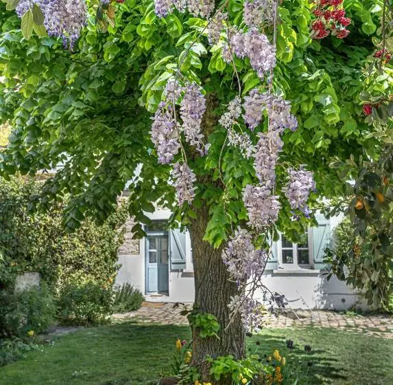 Aamiaismajoitus (B&B) Le Clos Tellier