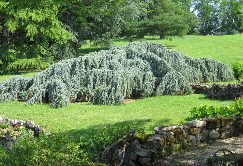 Bed and Breakfast Les 4 Eléments St Emilion