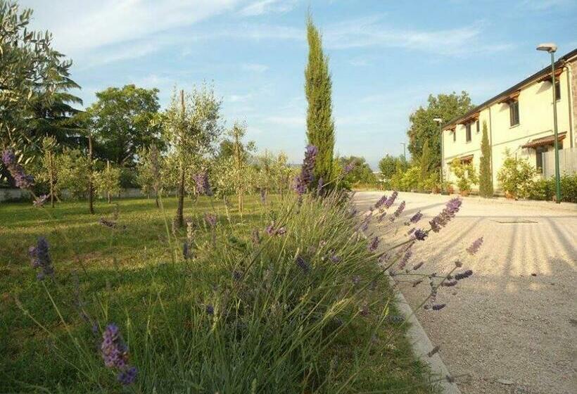 住宿加早餐  Nenna Country