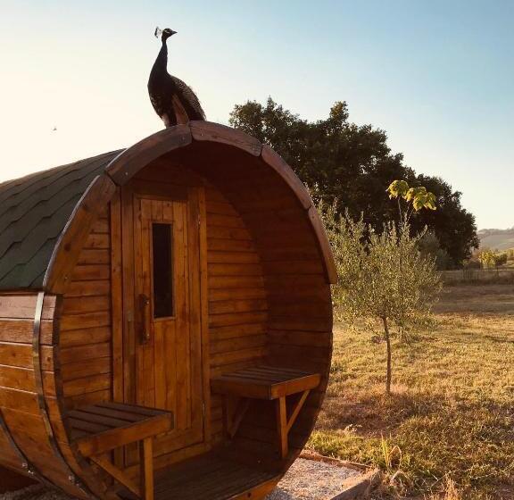 住宿加早餐  Tenuta Morganti