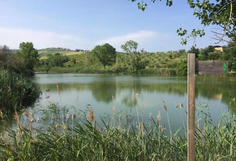 住宿加早餐  Tenuta Morganti