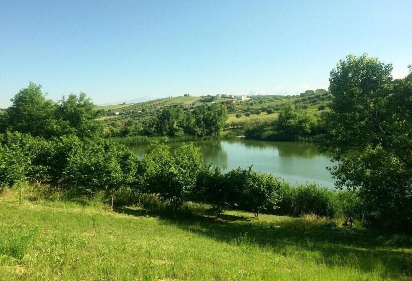 住宿加早餐  Tenuta Morganti