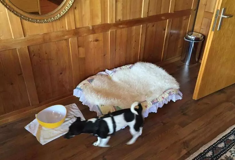 تختخواب و صبحانه Wohlfühloase Für Mensch Und Hund