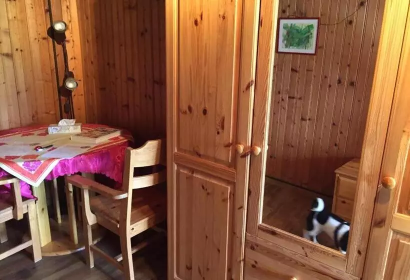 تختخواب و صبحانه Wohlfühloase Für Mensch Und Hund