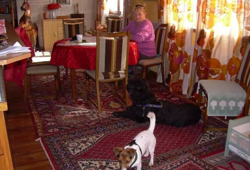 تختخواب و صبحانه Wohlfühloase Für Mensch Und Hund