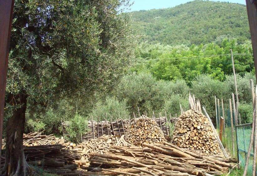 ホテル Il Castagneto