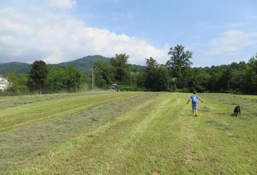 La Bella Dormiente B&b