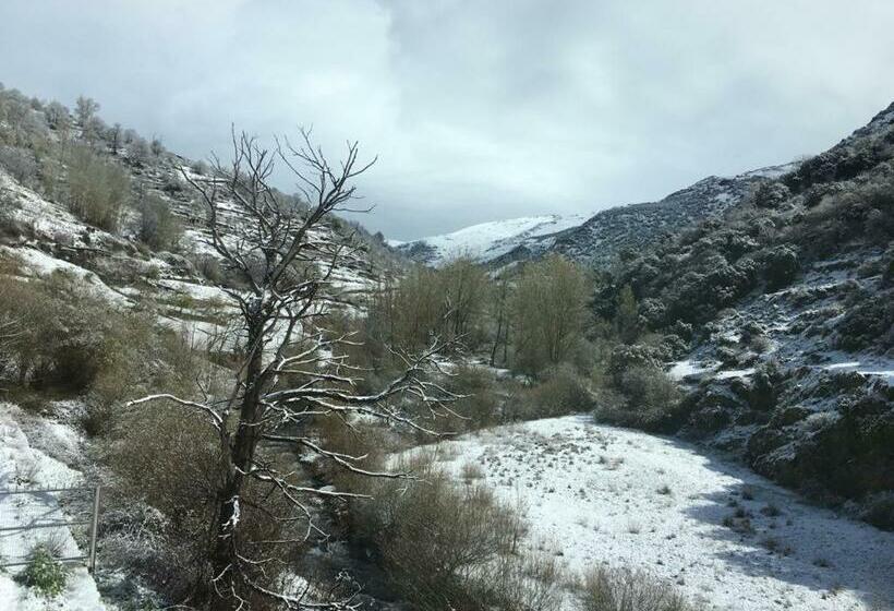 膳宿费 Hostal Mulhacen