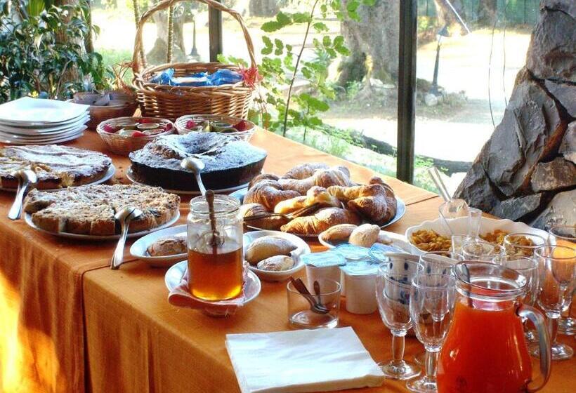 Пансион Stella