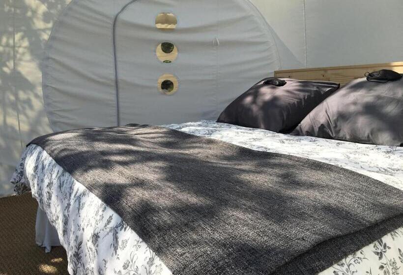 住宿加早餐  Bulle D Amour