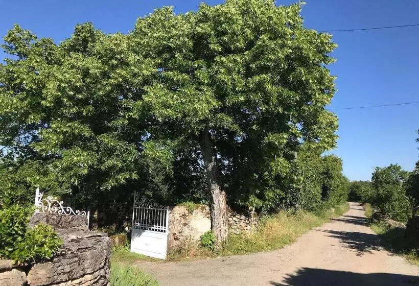 ベッドアンドブレックファースト Chambres D Hôtes Pech Blanc