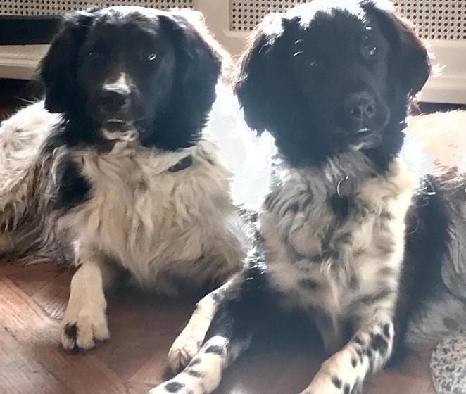 Bed and Breakfast Chambres D Hôtes Pech Blanc