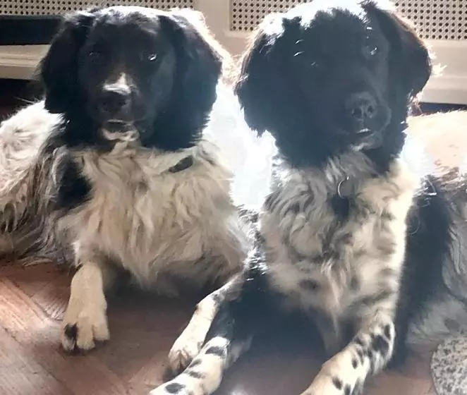 ベッドアンドブレックファースト Chambres D Hôtes Pech Blanc