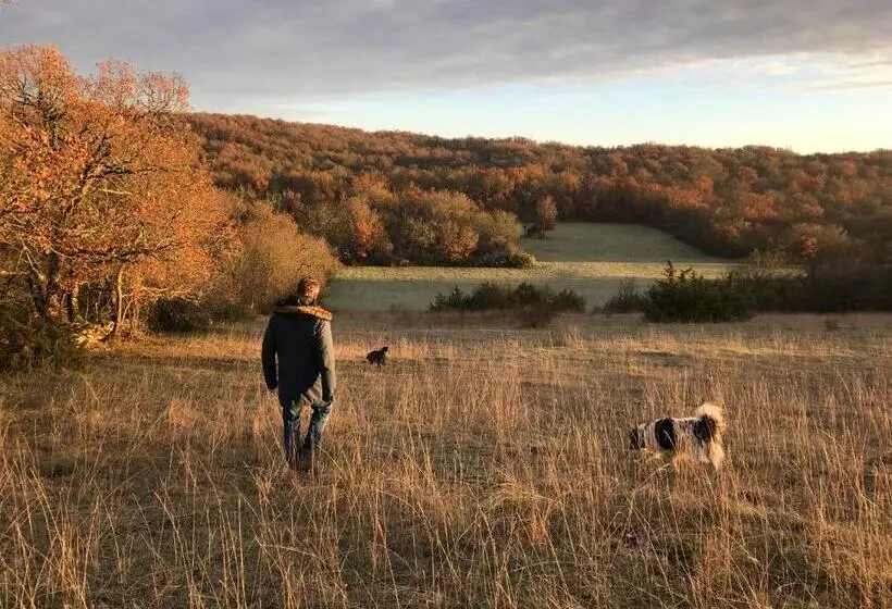 ベッドアンドブレックファースト Chambres D Hôtes Pech Blanc