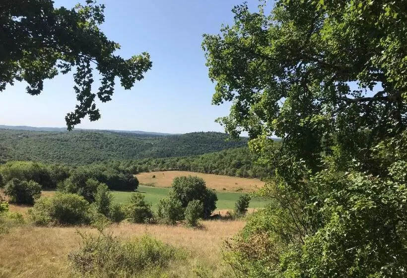 ベッドアンドブレックファースト Chambres D Hôtes Pech Blanc