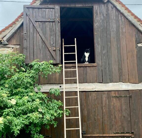 Bed and Breakfast Chambres D Hôtes Pech Blanc