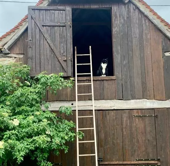 ベッドアンドブレックファースト Chambres D Hôtes Pech Blanc