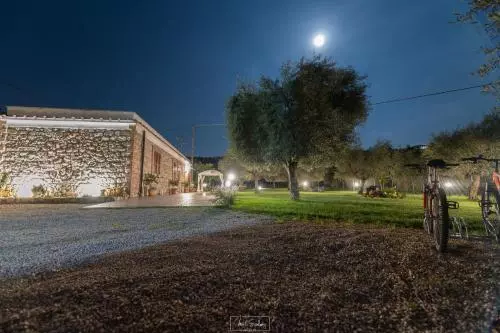 ベッドアンドブレックファースト Agriturismo Country Casale Rufo