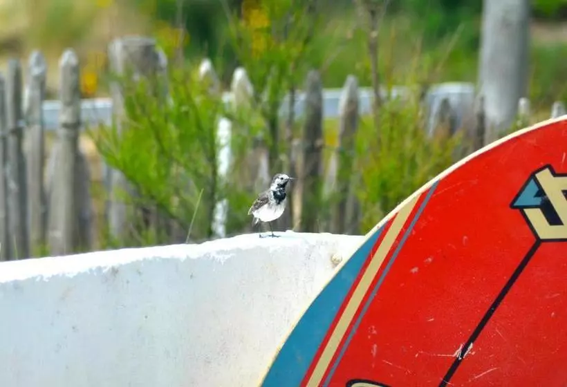 Aamiaismajoitus (B&B) La Mer & La Dune