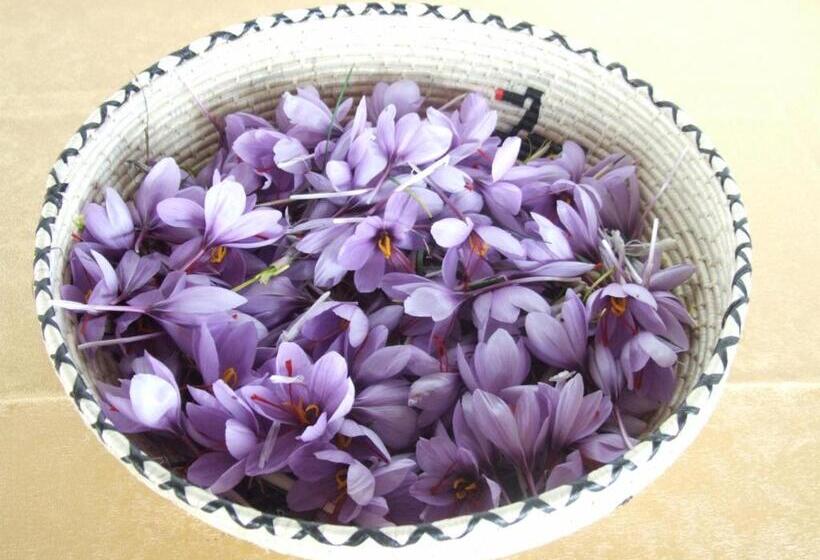 酒店 Agriturismo Locoe