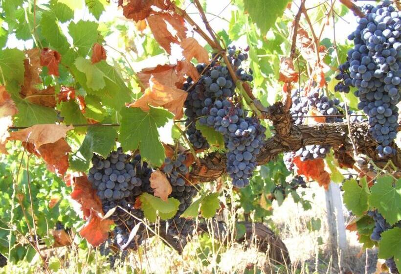 酒店 Agriturismo Locoe