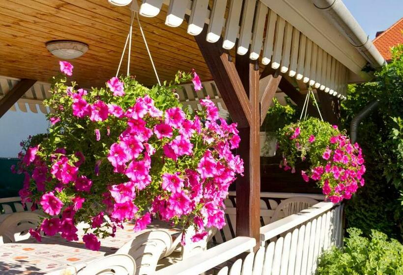 بنسيون Família Szabó Vendégház