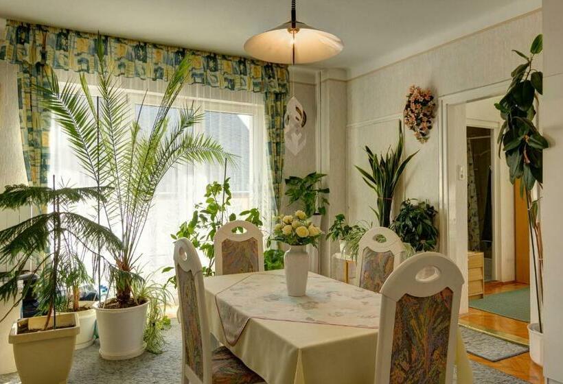 بنسيون Família Szabó Vendégház