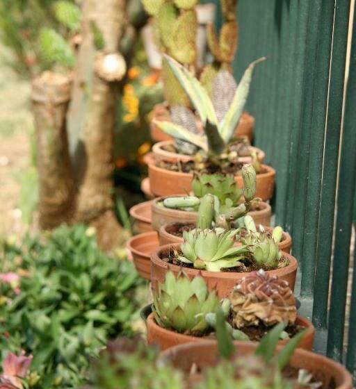 Ai Quattro Ulivi B&b