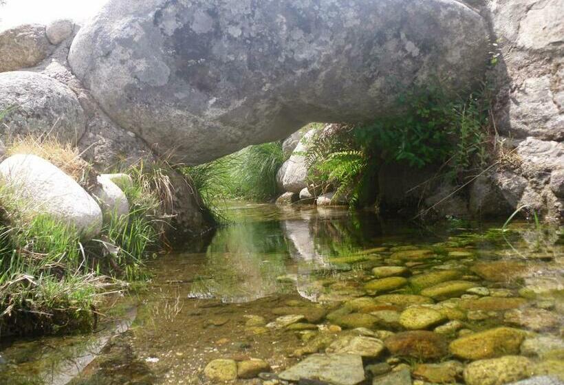 هاستل Pensão Estrela