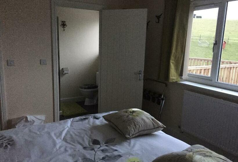 Bed & Breakfast Bro Dafydd