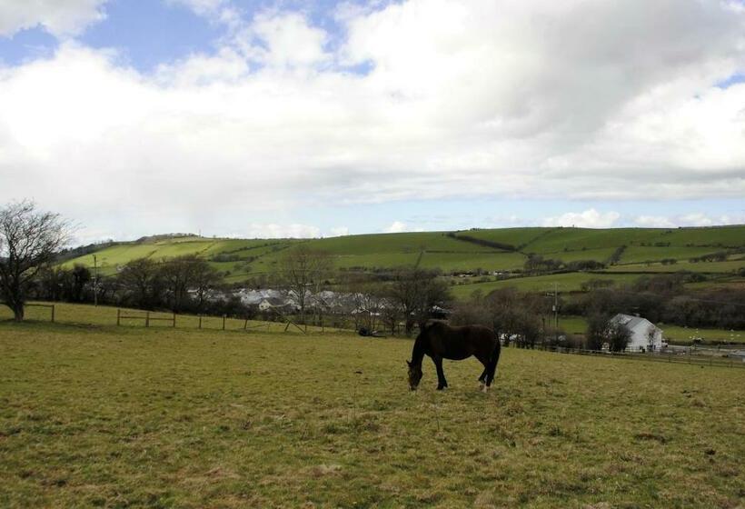 Bed & Breakfast Bro Dafydd