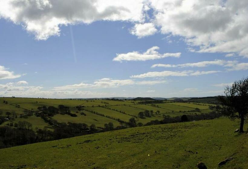 Bed & Breakfast Bro Dafydd