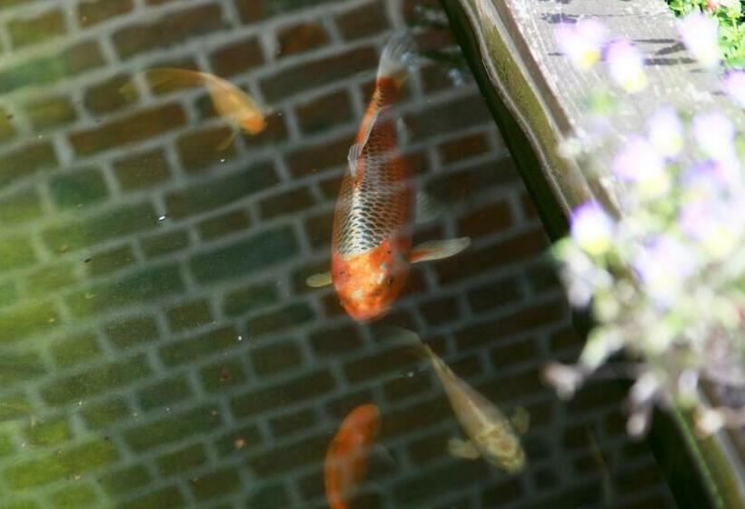 ベッドアンドブレックファースト Chambres Du Marais