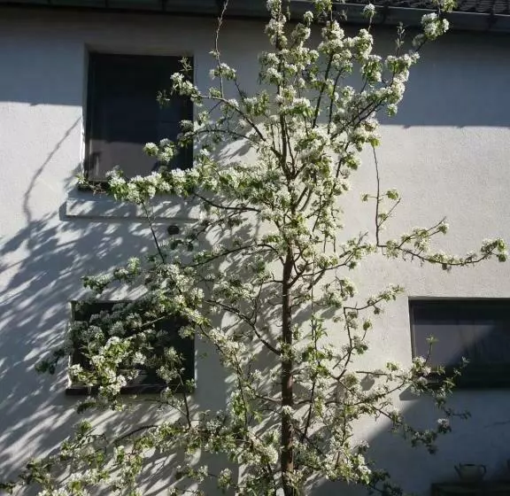 Aamiaismajoitus (B&B) De Aventurijn