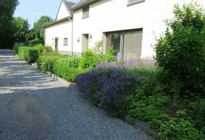 Aamiaismajoitus (B&B) De Aventurijn