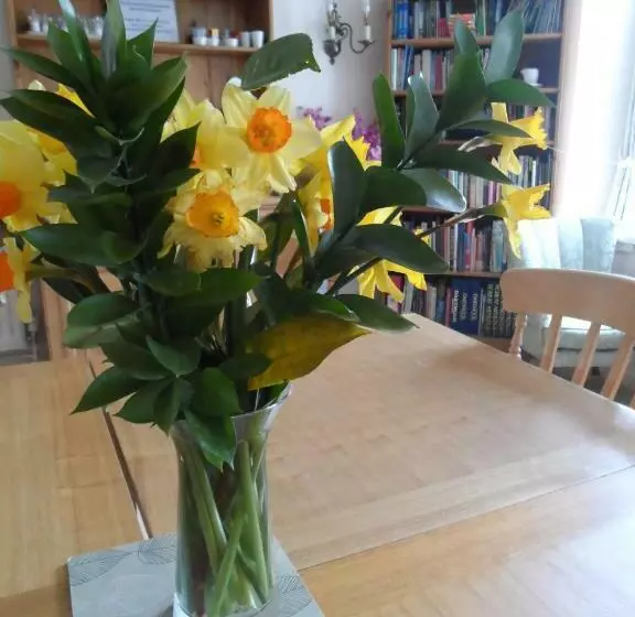 Bed and Breakfast Gages Mill