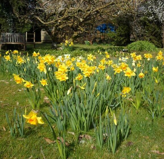 Bed and Breakfast Gages Mill