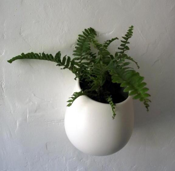 Bed and Breakfast Longo Mai