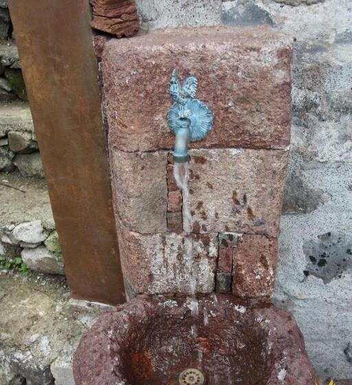 هتل A Casa Estrelícia Dourada Garcês