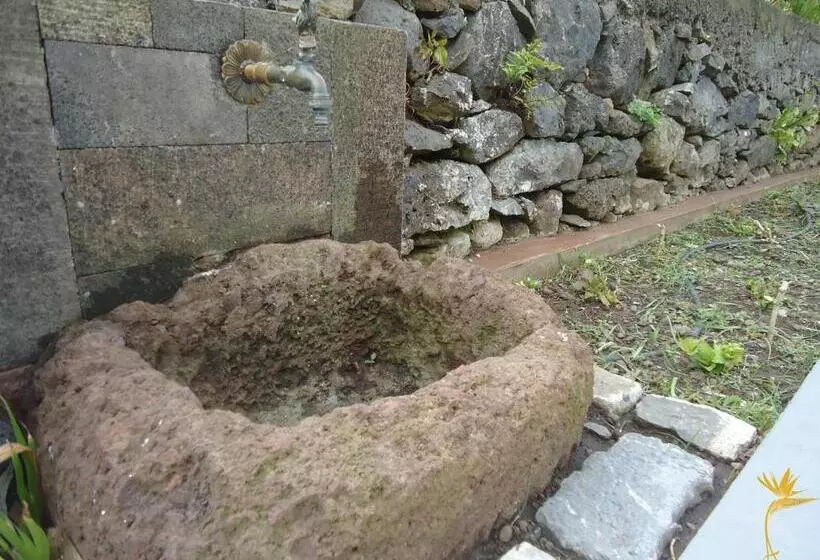 ホテル A Casa Estrelícia Dourada Garcês